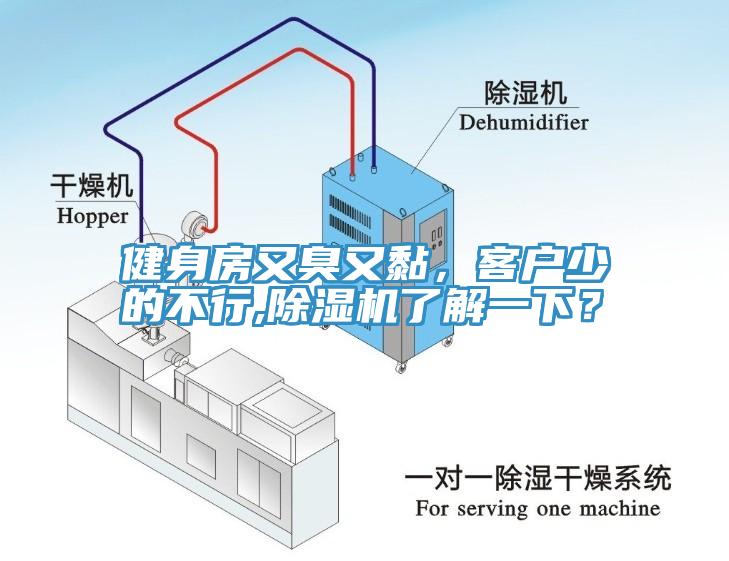 健身房又臭又黏，客戶少的不行,除濕機(jī)了解一下？