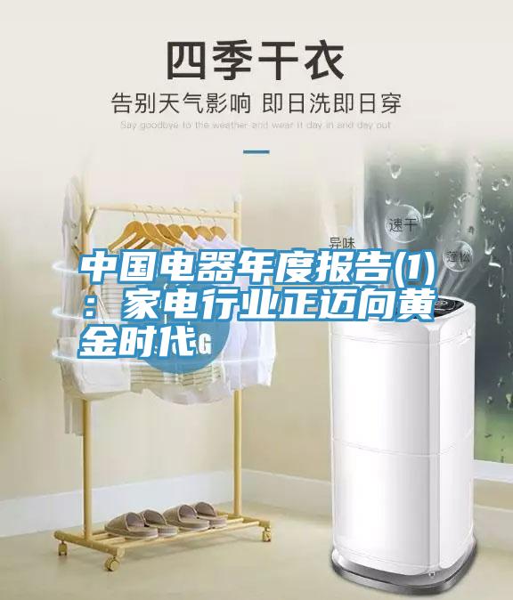 中國電器年度報告(1)：家電行業(yè)正邁向黃金時代