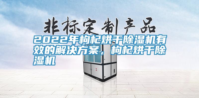 2022年枸杞烘干除濕機有效的解決方案，枸杞烘干除濕機
