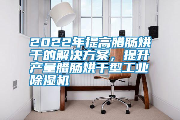 2022年提高臘腸烘干的解決方案，提升產(chǎn)量臘腸烘干型工業(yè)除濕機