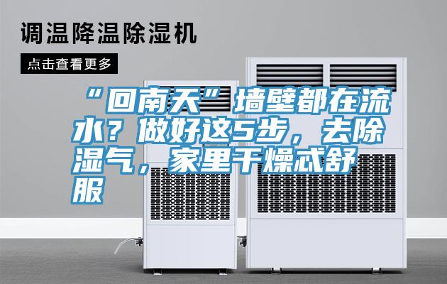 “回南天”墻壁都在流水？做好這5步，去除濕氣，家里干燥忒舒服