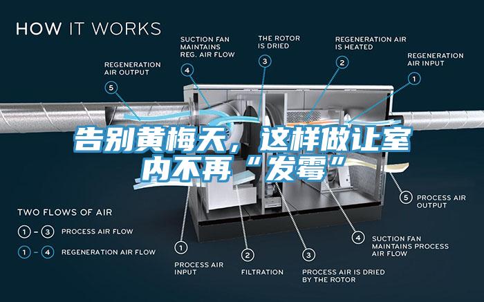 告別黃梅天，這樣做讓室內(nèi)不再“發(fā)霉”