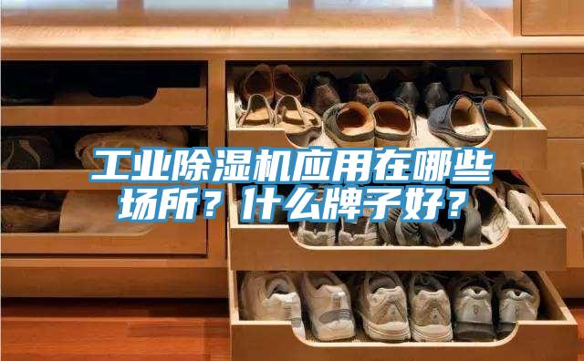 工業(yè)除濕機應(yīng)用在哪些場所？什么牌子好？