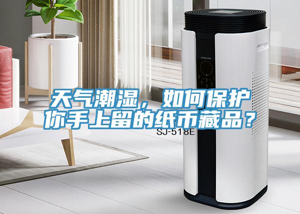 天氣潮濕，如何保護你手上留的紙幣藏品？