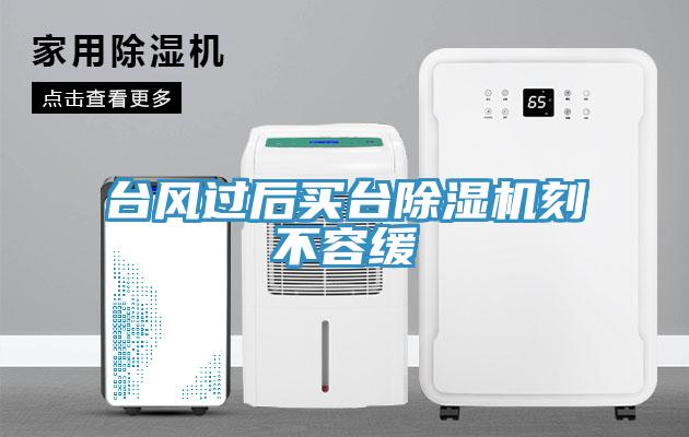 臺風(fēng)過后買臺除濕機刻不容緩