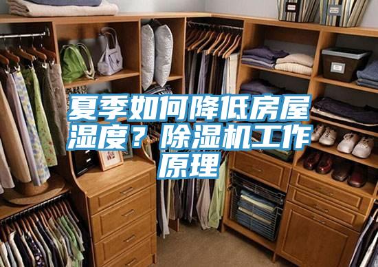 夏季如何降低房屋濕度？除濕機工作原理