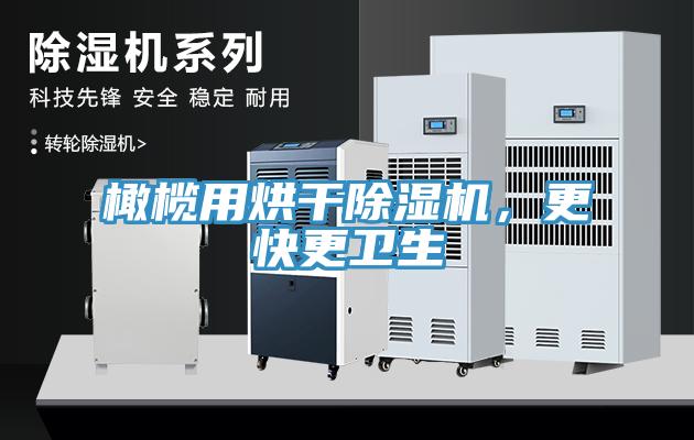 橄欖用烘干除濕機(jī)，更快更衛(wèi)生