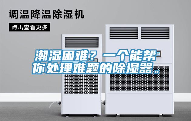潮濕困難？一個(gè)能幫你處理難題的除濕器。