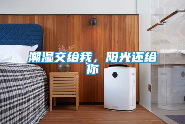 潮濕交給我，陽(yáng)光還給你