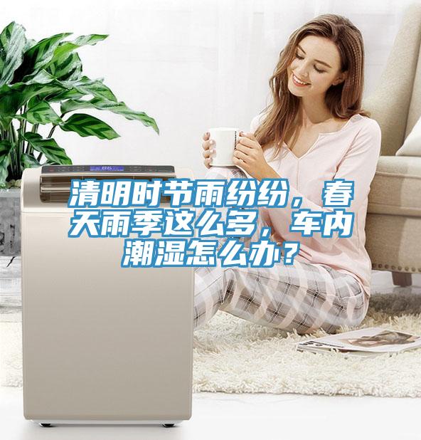 清明時(shí)節(jié)雨紛紛，春天雨季這么多，車內(nèi)潮濕怎么辦？
