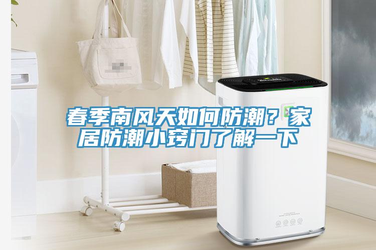 春季南風(fēng)天如何防潮？家居防潮小竅門了解一下