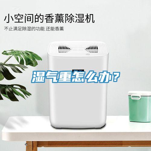 濕氣重怎么辦？