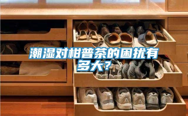 潮濕對(duì)柑普茶的困擾有多大？
