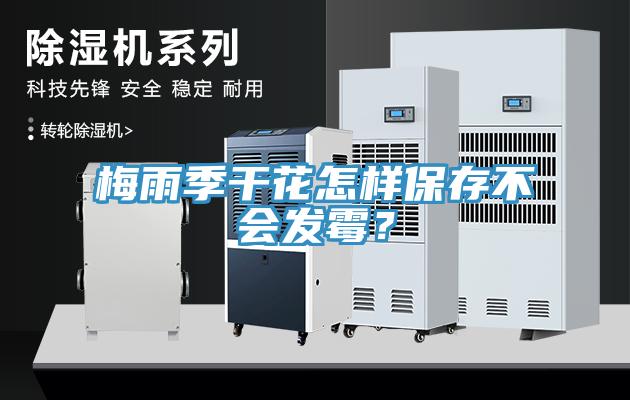 梅雨季干花怎樣保存不會(huì)發(fā)霉？