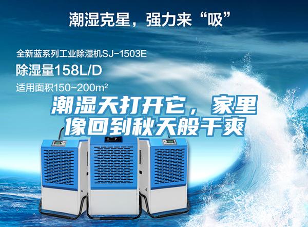 潮濕天打開它，家里像回到秋天般干爽