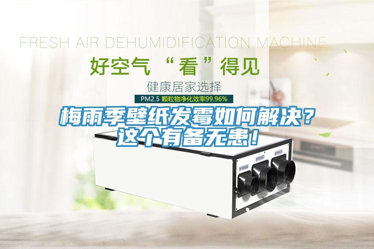 梅雨季壁紙發(fā)霉如何解決？這個(gè)有備無(wú)患！