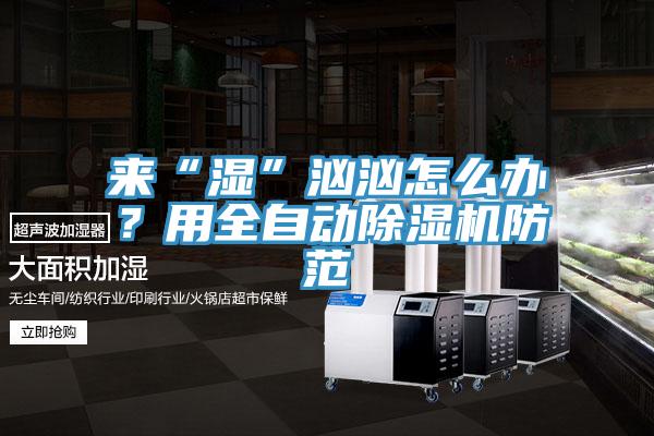 來“濕”洶洶怎么辦？用全自動(dòng)除濕機(jī)防范