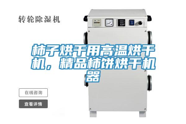 柿子烘干用高溫烘干機(jī)，精品柿餅烘干機(jī)器