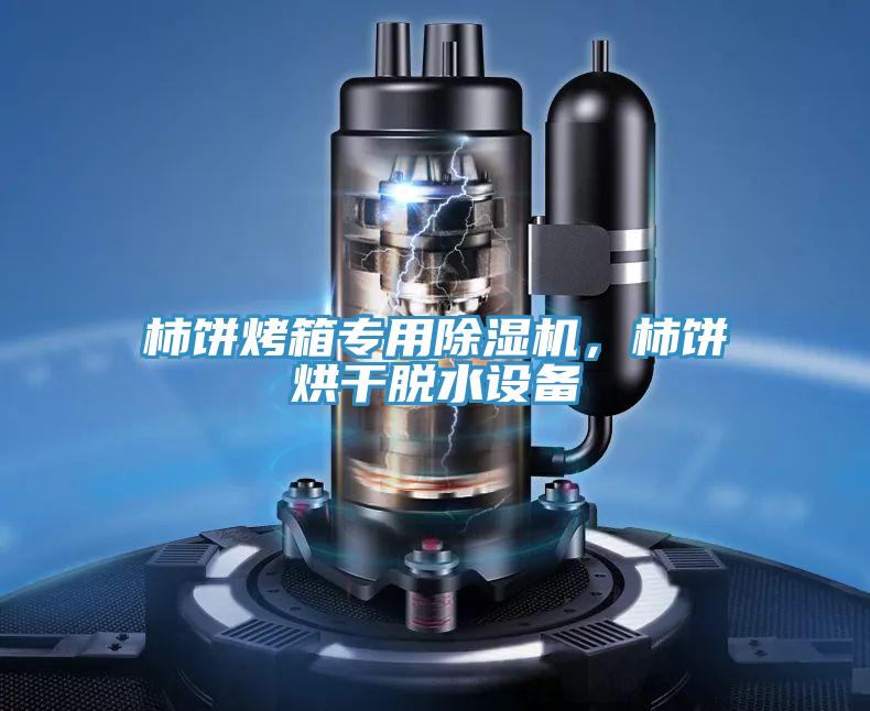 柿餅烤箱專用除濕機(jī)，柿餅烘干脫水設(shè)備