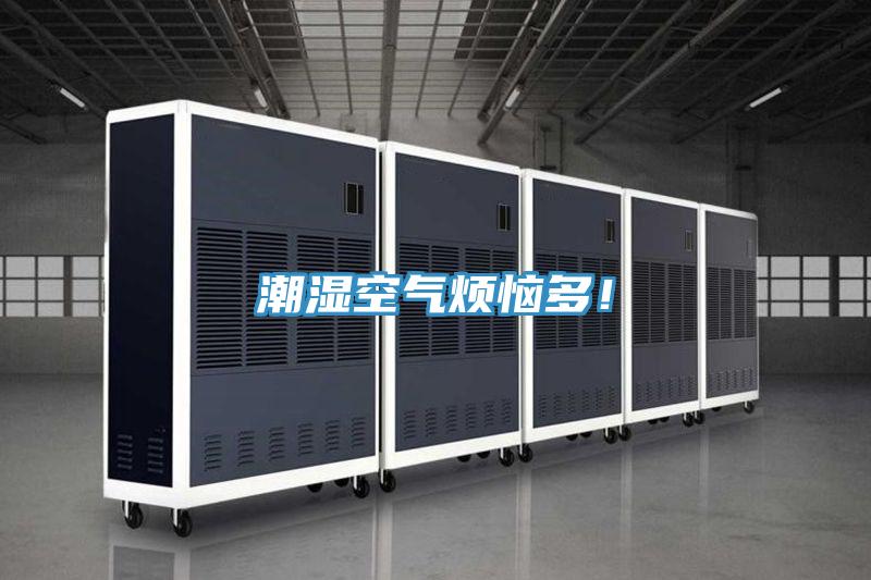 潮濕空氣煩惱多！