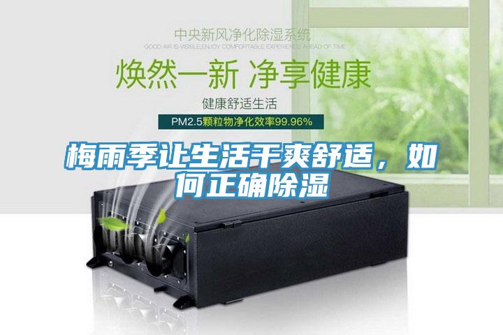 梅雨季讓生活干爽舒適，如何正確除濕