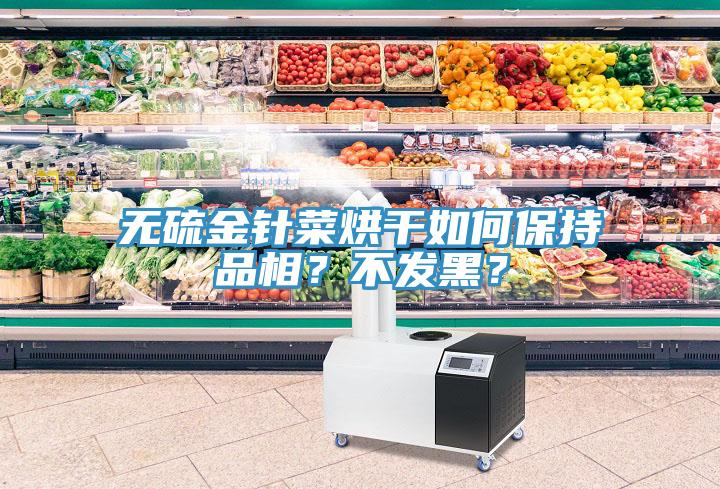 無硫金針菜烘干如何保持品相？不發(fā)黑？