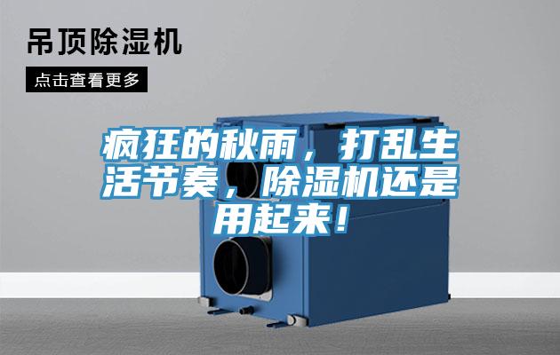 瘋狂的秋雨，打亂生活節(jié)奏，除濕機還是用起來！