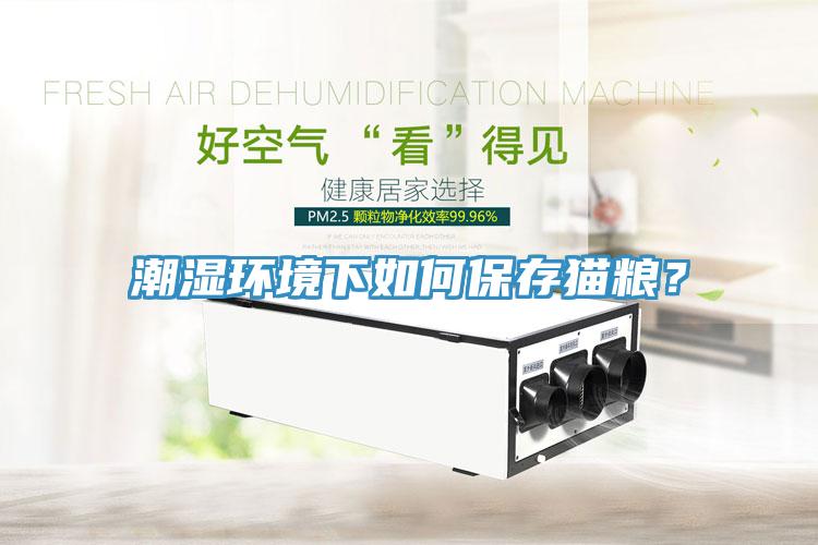 潮濕環(huán)境下如何保存貓糧？