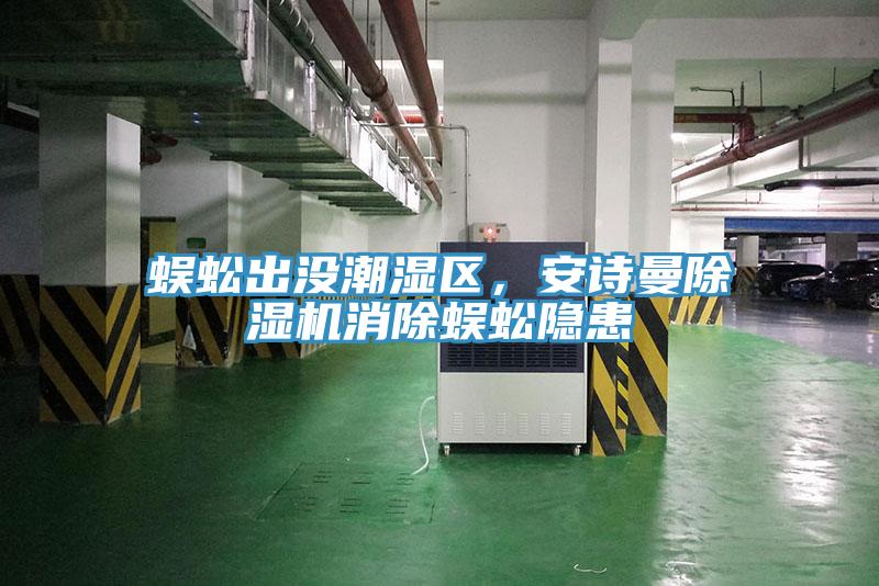 蜈蚣出沒潮濕區(qū)，安詩曼除濕機消除蜈蚣隱患