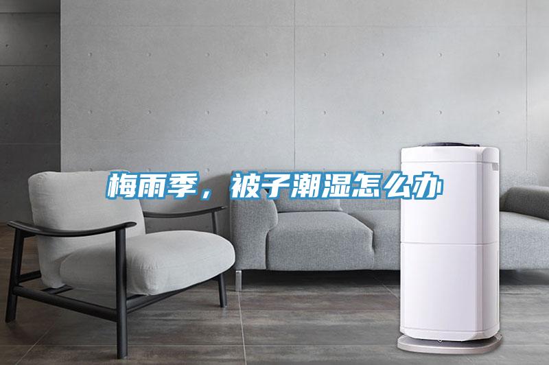 梅雨季，被子潮濕怎么辦