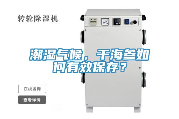 潮濕氣候，干海參如何有效保存？
