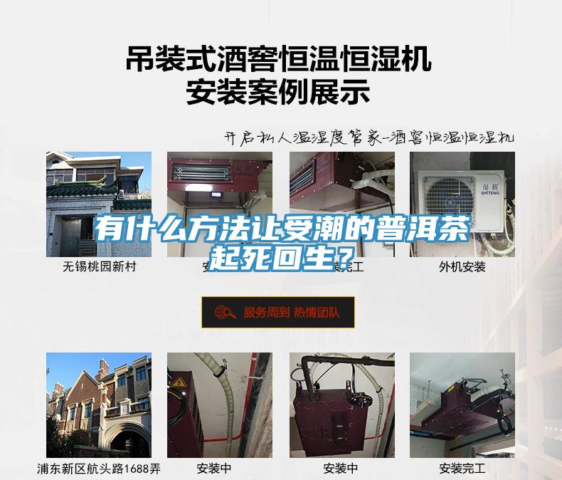有什么方法讓受潮的普洱茶起死回生？