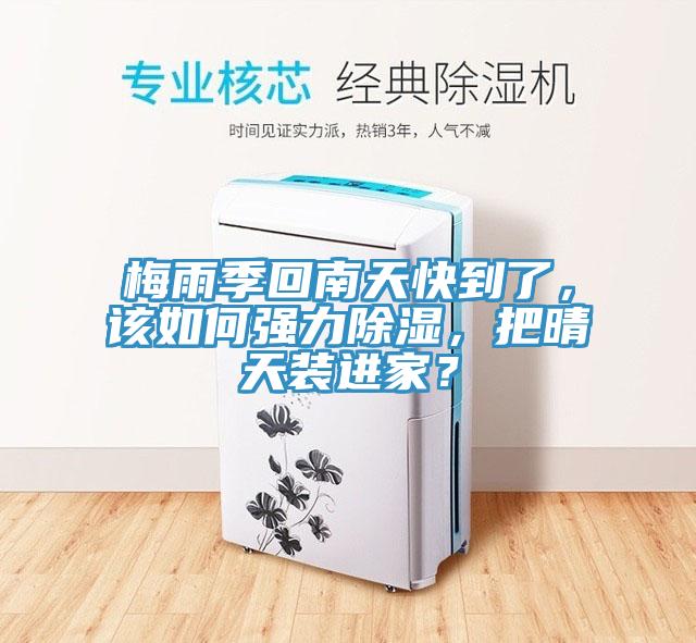 梅雨季回南天快到了，該如何強力除濕，把晴天裝進家？