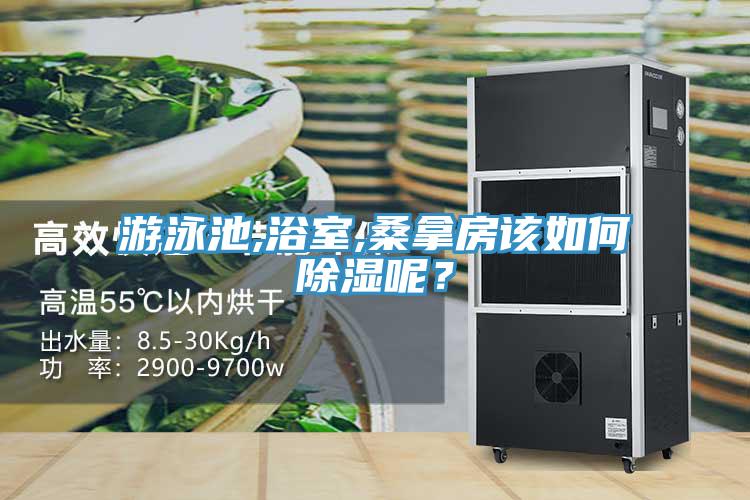 游泳池,浴室,桑拿房該如何除濕呢？