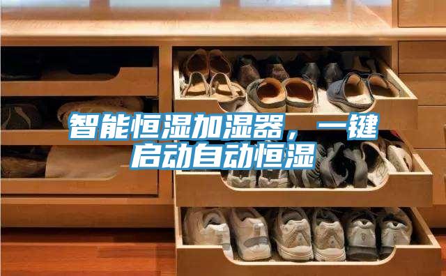 智能恒濕加濕器，一鍵啟動自動恒濕