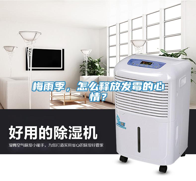 梅雨季，怎么釋放發(fā)霉的心情？