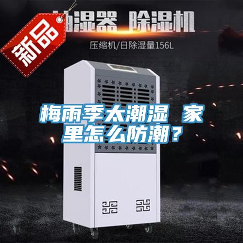 梅雨季太潮濕 家里怎么防潮？