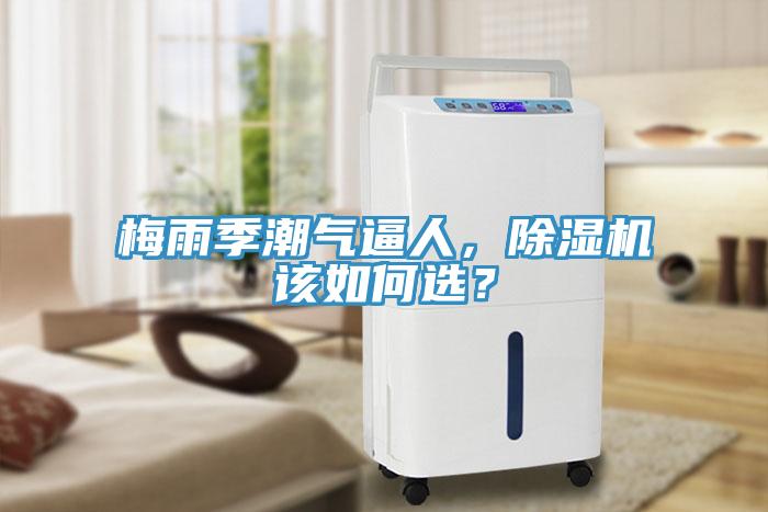 梅雨季潮氣逼人，除濕機該如何選？