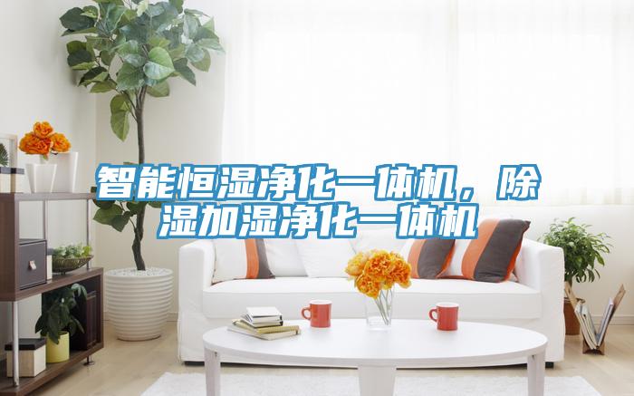 智能恒濕凈化一體機(jī)，除濕加濕凈化一體機(jī)