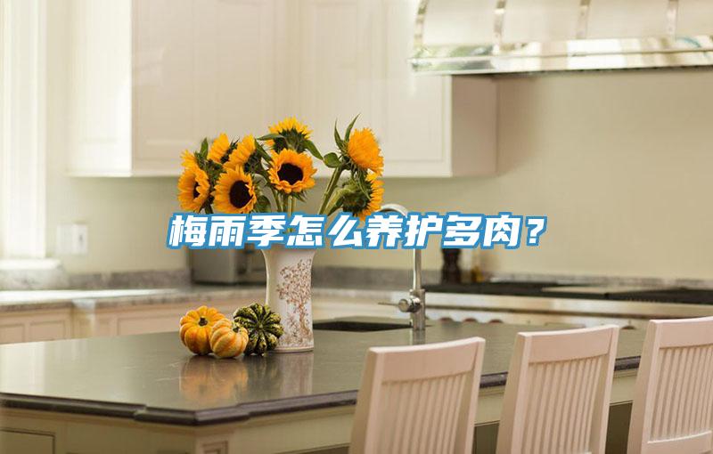 梅雨季怎么養(yǎng)護(hù)多肉？