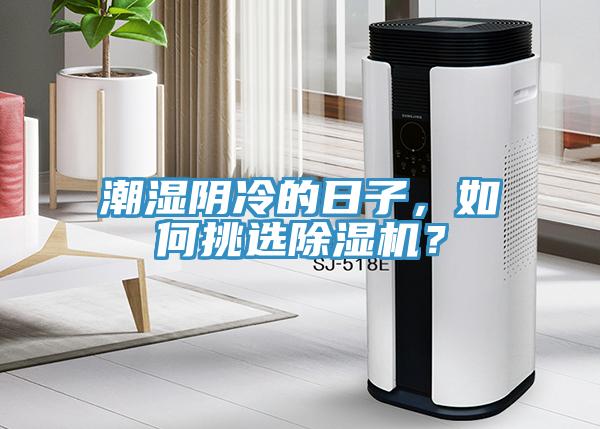 潮濕陰冷的日子，如何挑選除濕機(jī)？