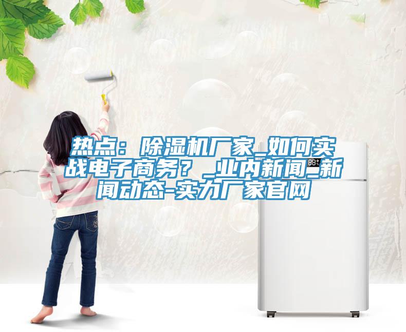 熱點(diǎn)：除濕機(jī)廠家_如何實(shí)戰(zhàn)電子商務(wù)？_業(yè)內(nèi)新聞_新聞動(dòng)態(tài)-實(shí)力廠家官網(wǎng)