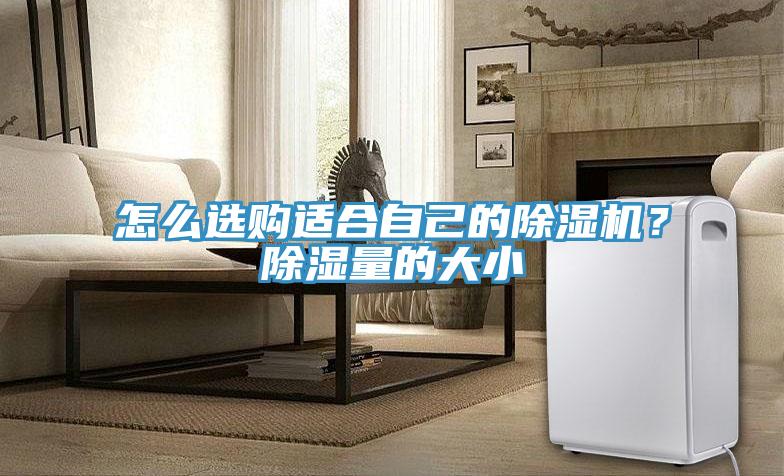 怎么選購適合自己的除濕機？除濕量的大小