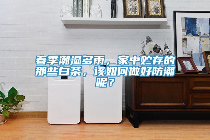 春季潮濕多雨，家中貯存的那些白茶，該如何做好防潮呢？