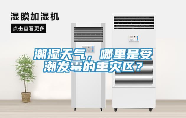 潮濕天氣，哪里是受潮發(fā)霉的重災(zāi)區(qū)？