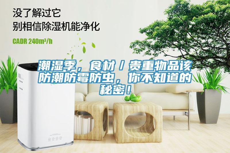 潮濕季，食材／貴重物品該防潮防霉防蟲，你不知道的秘密！