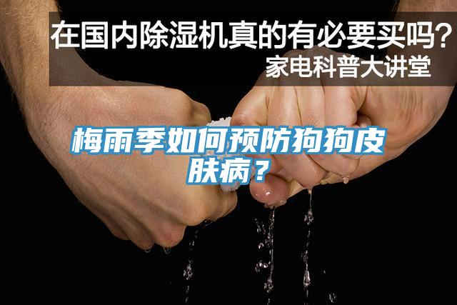 梅雨季如何預(yù)防狗狗皮膚?。?></div>
								<div   id=
