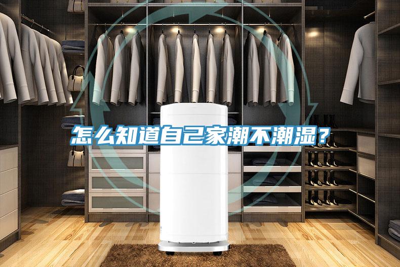 怎么知道自己家潮不潮濕？