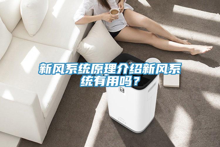 新風(fēng)系統(tǒng)原理介紹新風(fēng)系統(tǒng)有用嗎？