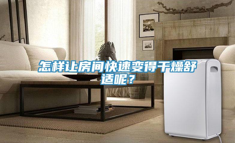 怎樣讓房間快速變得干燥舒適呢？